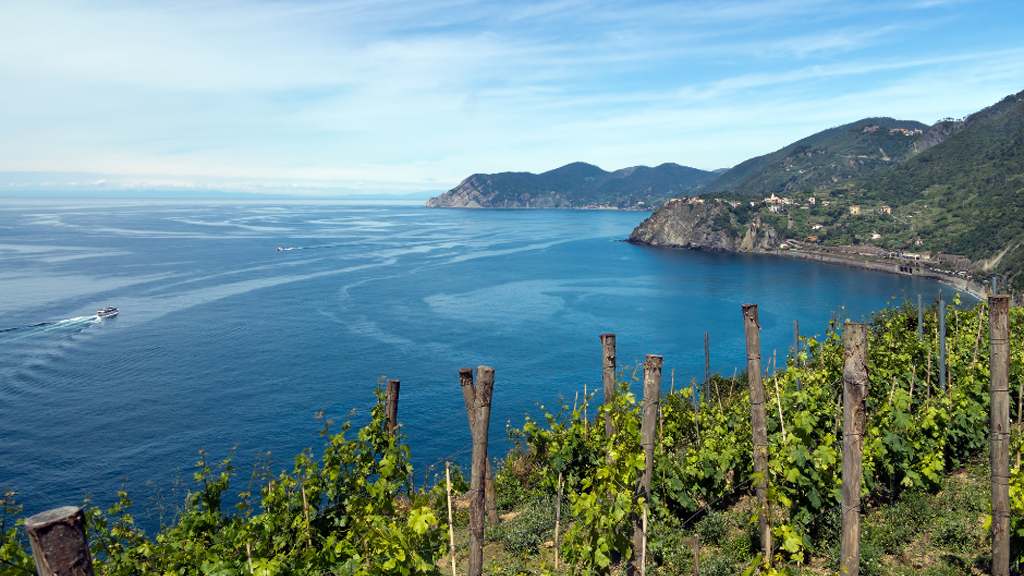 vista dalle vigne delle cinque terre