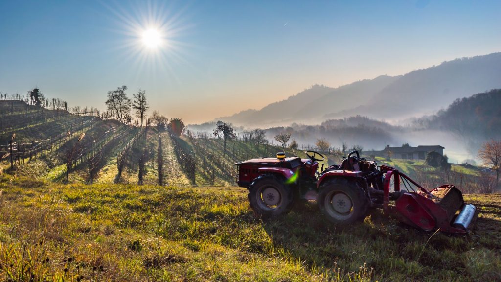 Trattore nel vigneto