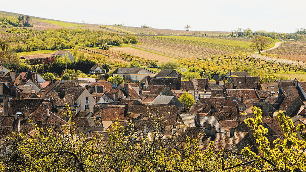vista di vigne e villaggio in Borgogna