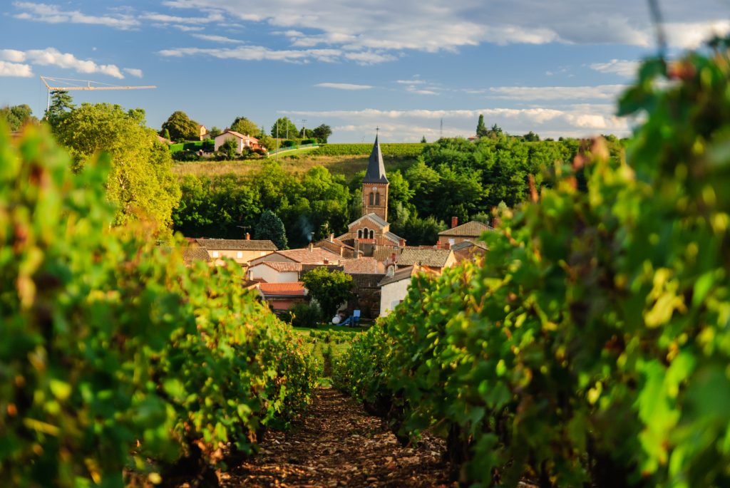 Vigneti in Beaujolais