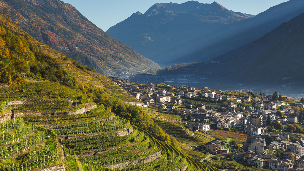 i vigneti della Valtellina