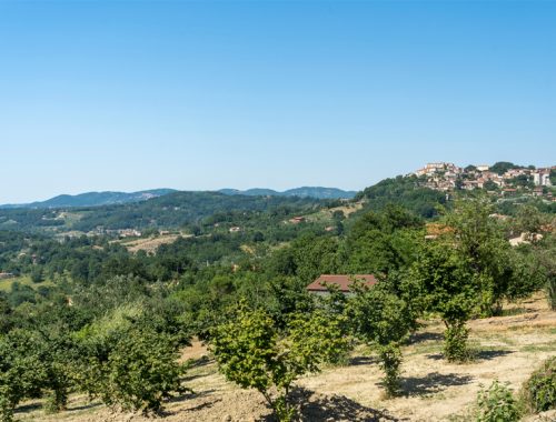 Irpinia