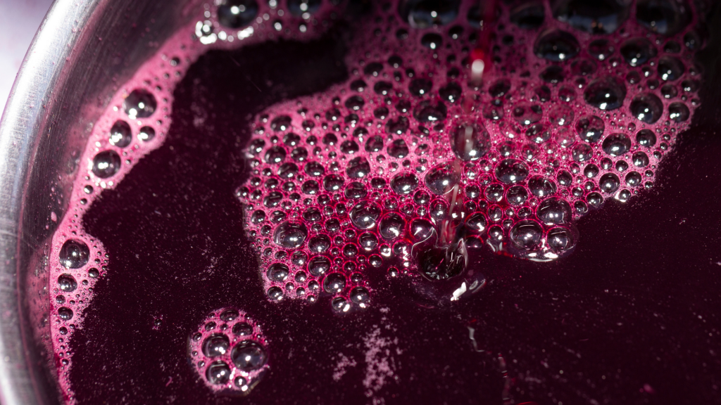 Vino cotto marchigiano in preparazione