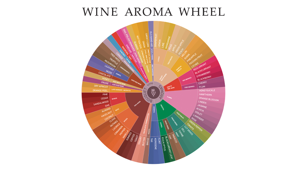 ruota degli aromi del vino
