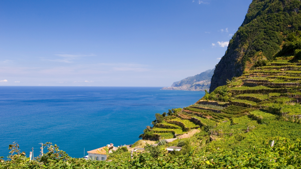 Vigneti terrazzati vista mare a Madeira