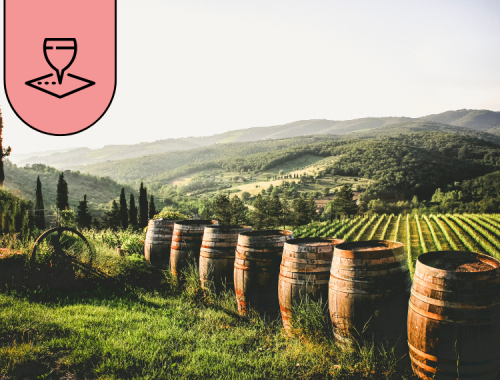 copertina-vitigni-italiani-botti