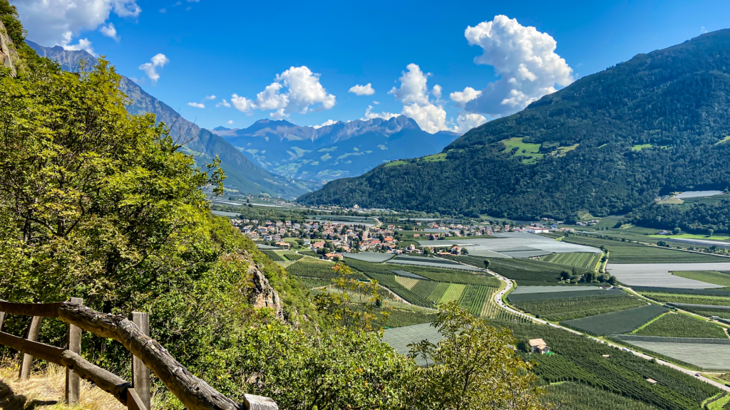 vista sui vigneti alto adige