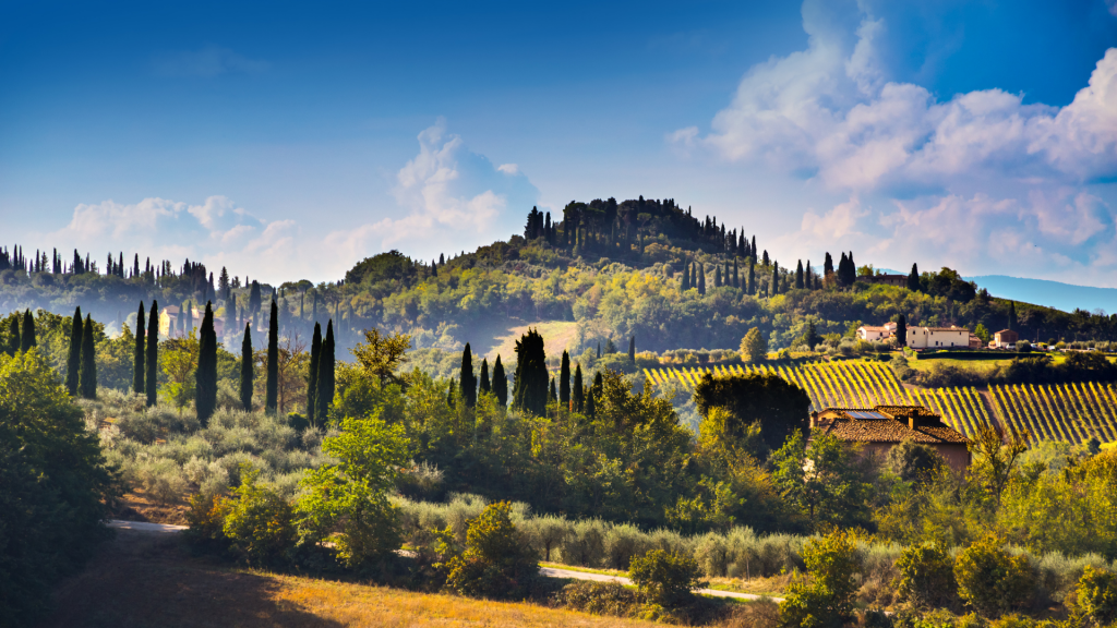 Vista su colline toscana costellate di cipressi e vigneti