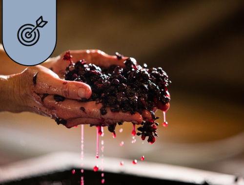 mani tengono uva che fermenta