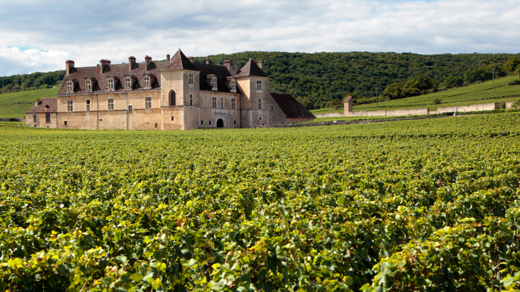 Chateau di Bordeaux con le vigne